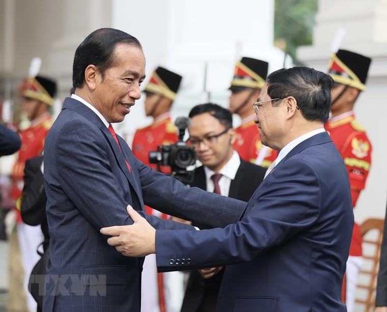 Thủ tướng Phạm Minh Chính hội kiến Tổng thống Indonesia Joko Widodo ảnh 1