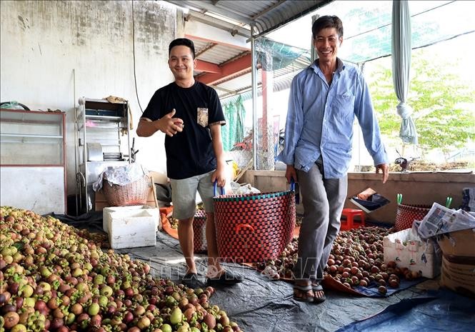 Xuất khẩu rau quả của Việt Nam tăng cao kỷ lục năm 2023 ảnh 3