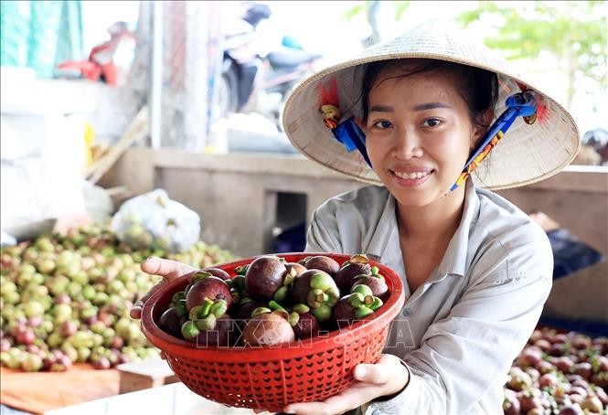 Xuất khẩu rau quả của Việt Nam tăng cao kỷ lục năm 2023 ảnh 4