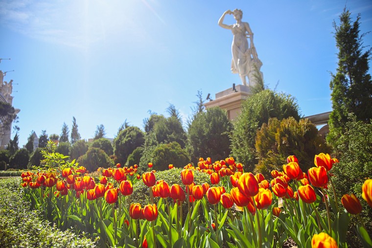 Tết Giáp Thìn 2024, nên đi đâu du lịch từ Bắc vào Nam? ảnh 5