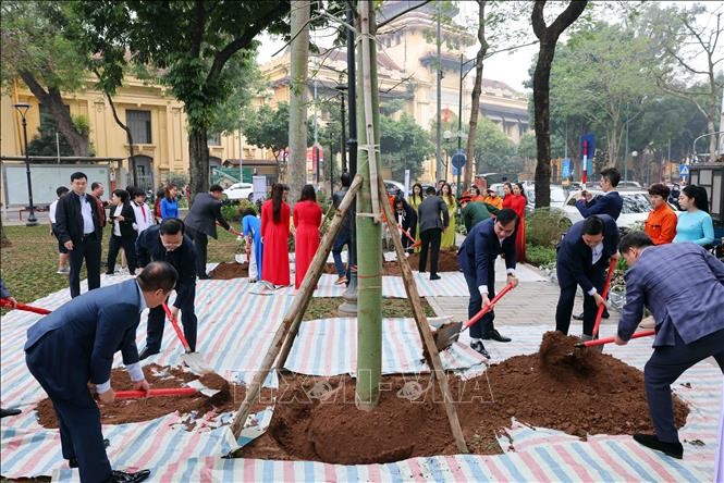 Hà Nội hưởng ứng "Tết trồng cây đời đời nhớ ơn Bác Hồ" nhân dịp Xuân Giáp Thìn 2024 ảnh 3
