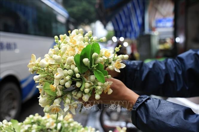 Người dân Thủ đô tất bật sắm lễ cúng Rằm tháng Giêng ảnh 7