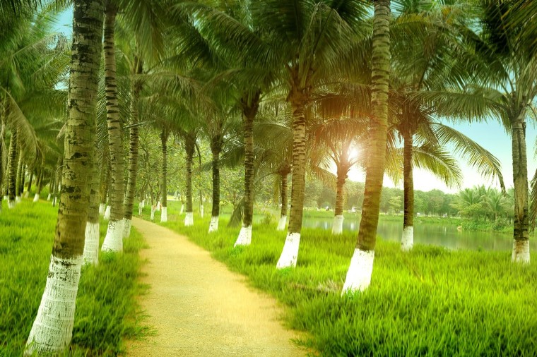 “Phải lòng” Ecopark ảnh 4
