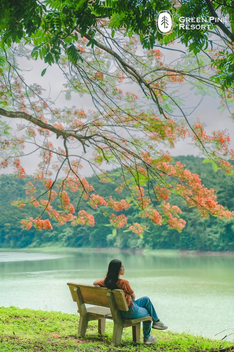 Green Pine Resort – Khu nghỉ dưỡng đồi thông mới được khám phá ở Ninh Bình ảnh 8