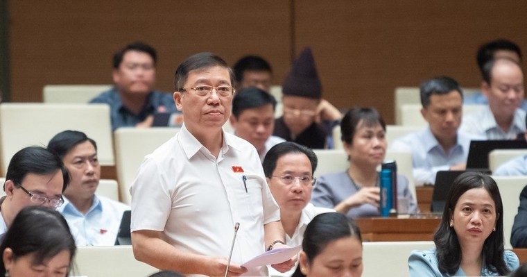 Người đại biểu vì an sinh xã hội ảnh 1