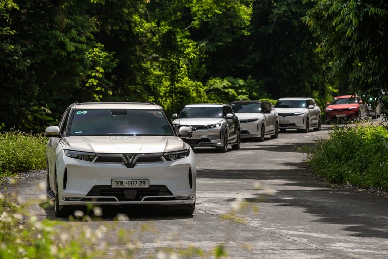 VinFast chiếm thị phần số 1 Việt Nam ảnh 1