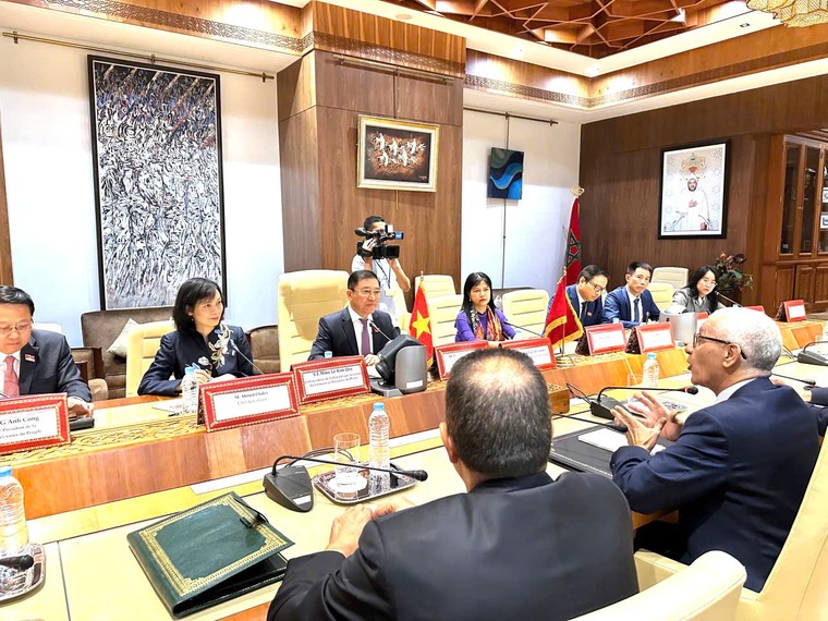 Tăng cường kết nối, gìn giữ mối quan hệ hữu nghị của Việt Nam với bạn bè quốc tế ảnh 2