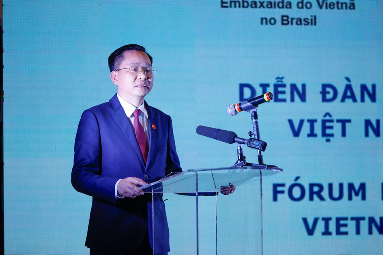 Tập đoàn Hóa chất Việt Nam hợp tác với Tập đoàn Oceanside One Trading LLC đưa phân bón, săm lốp, hóa chất vào Brazil ảnh 1