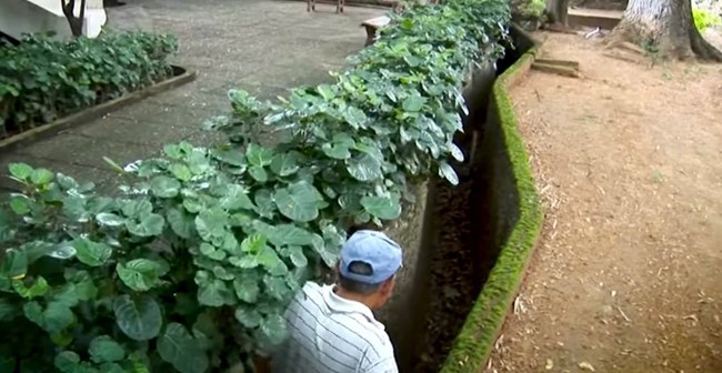 Đền thờ Bác Hồ - Công trình của trái tim ảnh 6