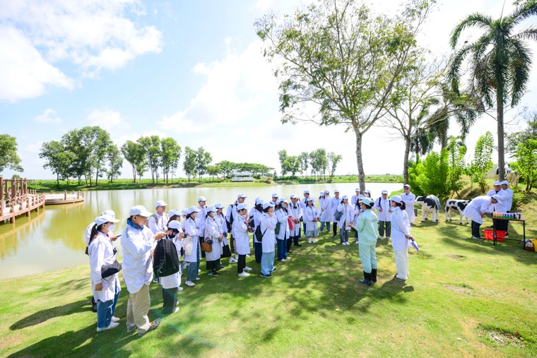 "Mở khoá tự nhiên": Vinamilk biến rào cản thành vòng tuần hoàn xanh tại trang trại sinh thái ảnh 1