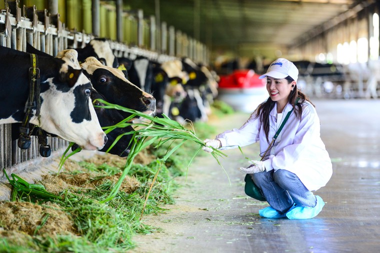 "Mở khoá tự nhiên": Vinamilk biến rào cản thành vòng tuần hoàn xanh tại trang trại sinh thái ảnh 10