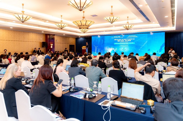 Vì sao thị phần hàng Việt tại EU vẫn thấp? ảnh 1