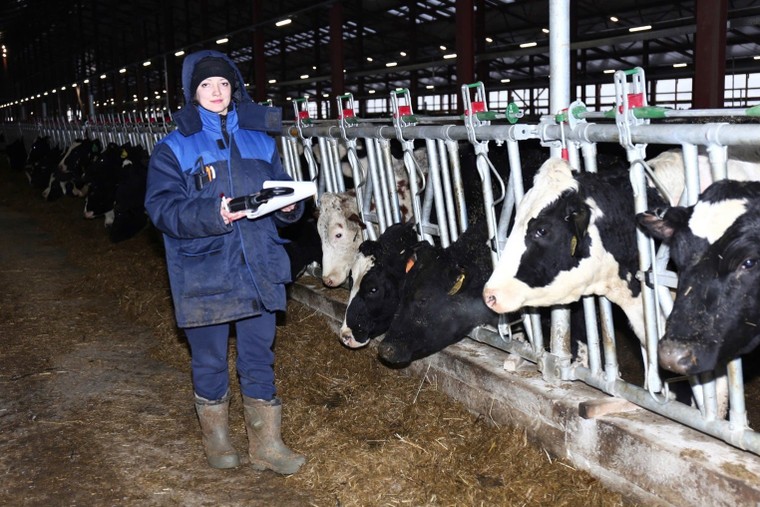 Anh hùng Lao động Thái Hương được Tổng thống Liên bang Nga Vladimir Putin trực tiếp trao tặng Huân chương Hữu nghị ảnh 2