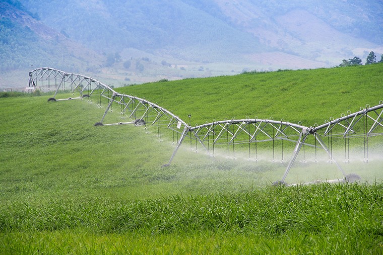 Tập đoàn TH được vinh danh Top 10 Doanh nghiệp bền vững Việt Nam 2025 ảnh 2