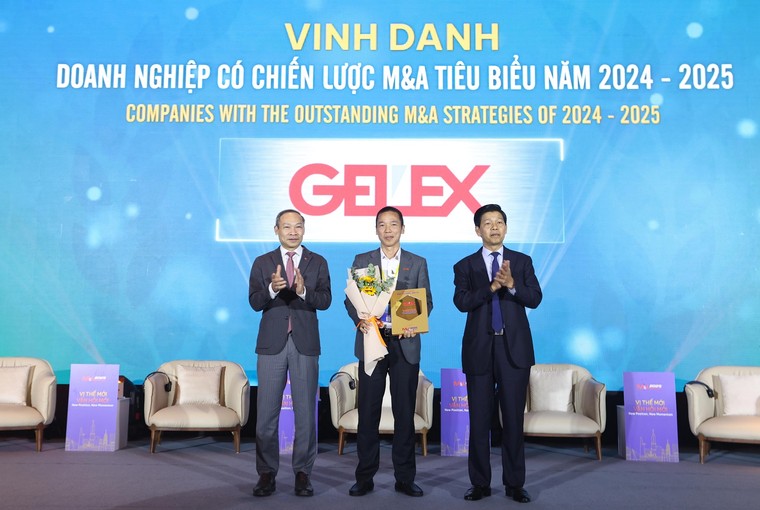 GELEX vinh dự là Doanh nghiệp có chiến lược M&A tiêu biểu 2024-2025 ảnh 1