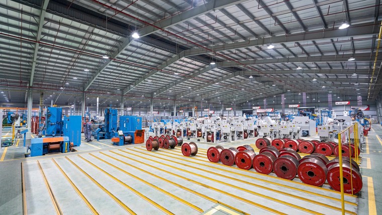 GELEX dành 2% doanh thu cho R&D trong lĩnh vực thiết bị điện ảnh 2