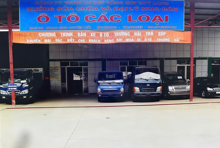 Huy Long và hành trình ba thập kỷ dấn thân ảnh 4