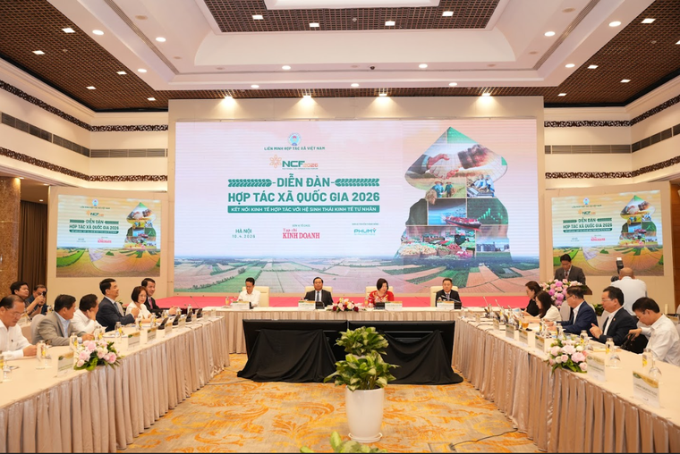 Định hình hệ sinh thái kinh tế mới từ Nghị quyết 68 ảnh 2