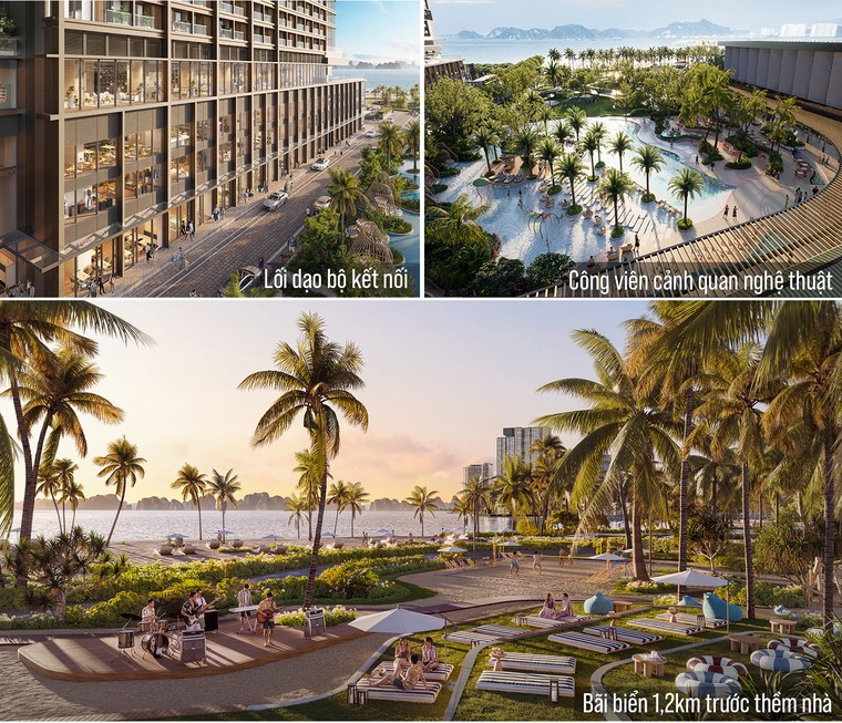 Aria Bay: Chất sống thời thượng mang dấu ấn Sailing Club bên vịnh di sản ảnh 1