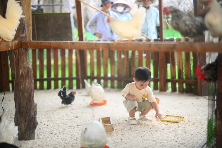 Eco Retreat chuẩn bị bàn giao những căn nhà đầu tiên, kiến tạo nhịp sống xanh, bền vững ảnh 4