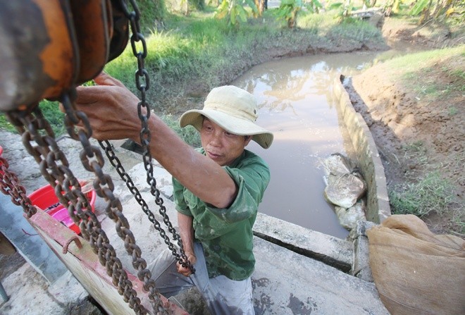 Săn rươi kiếm nửa tỷ đồng mỗi vụ ảnh 1