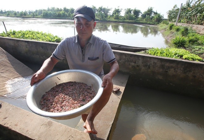 Săn rươi kiếm nửa tỷ đồng mỗi vụ ảnh 4