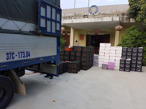 2,5 tấn hoa quả nhập lậu từ Trung Quốc tràn vào Nghệ An ảnh 1