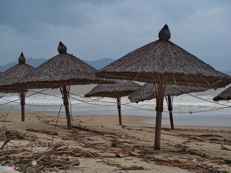 Bãi biển đẹp nhất thế giới xác xơ sau lũ ảnh 9