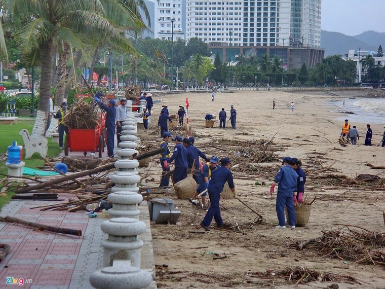 Bãi biển đẹp nhất thế giới xác xơ sau lũ ảnh 11