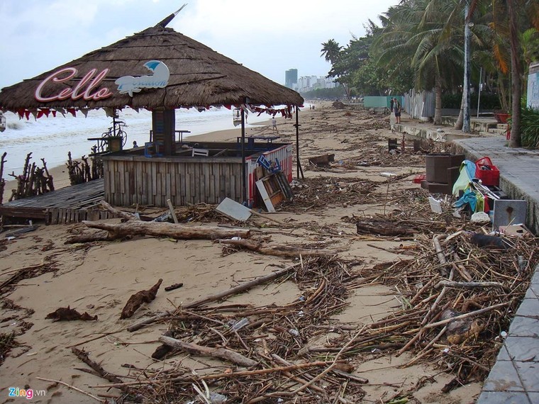 Bãi biển đẹp nhất thế giới xác xơ sau lũ ảnh 2