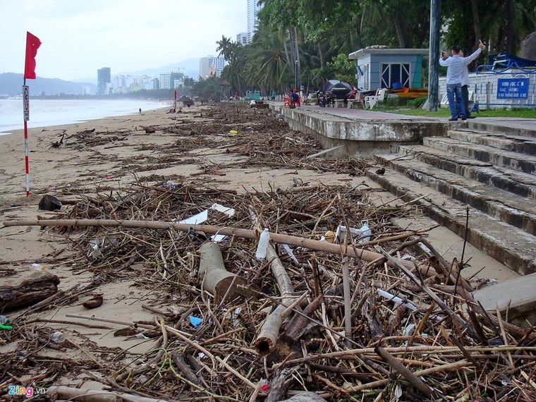 Bãi biển đẹp nhất thế giới xác xơ sau lũ ảnh 3
