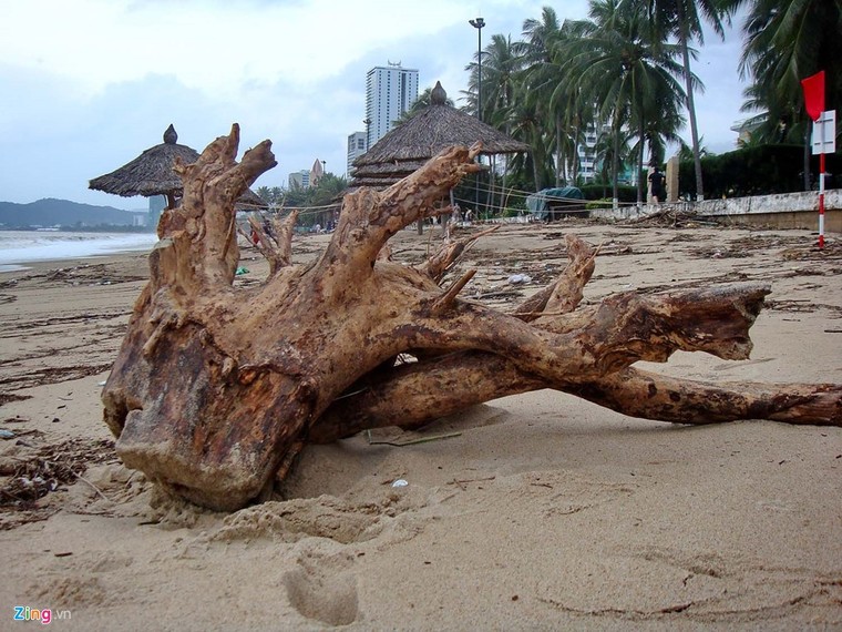 Bãi biển đẹp nhất thế giới xác xơ sau lũ ảnh 7