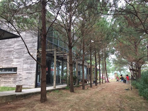 Ba khu nghỉ tách biệt giữa 'rừng' cách Hà Nội chưa đầy 30 km ảnh 1