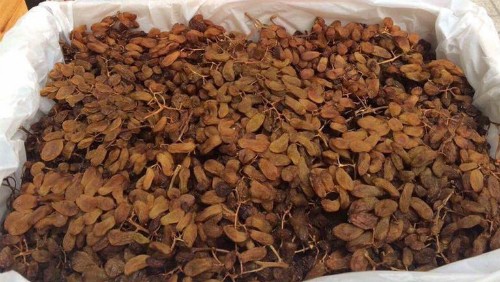  Mứt Tết nhập khẩu lũ lượt về theo đường xách tay ảnh 1