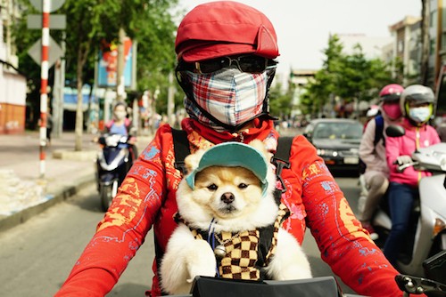  9 điều khách Tây chủ quan khi sống tại Việt Nam ảnh 1