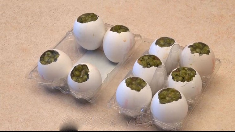 Cách làm món thịt đông trong vỏ trứng gà cực bắt mắt đón tết ảnh 15