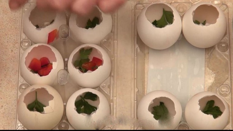 Cách làm món thịt đông trong vỏ trứng gà cực bắt mắt đón tết ảnh 8