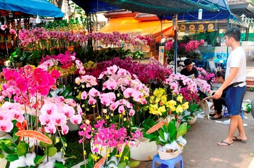 Đường phố Sài Gòn ngập hoa, nhộn nhịp không khí Tết ảnh 5