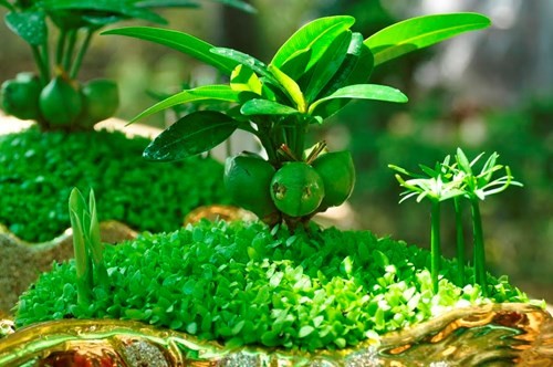 Đường phố Sài Gòn ngập hoa, nhộn nhịp không khí Tết ảnh 3