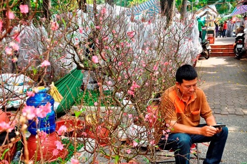 Đường phố Sài Gòn ngập hoa, nhộn nhịp không khí Tết ảnh 10