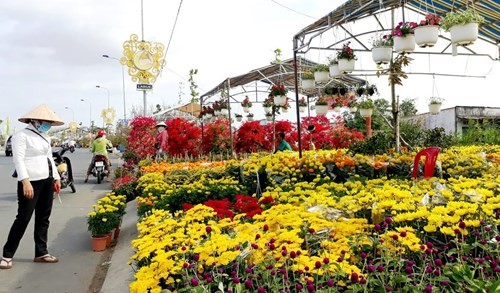 Dưa hấu khắc chữ thư pháp bán ngập đường phố Cà Mau ảnh 1