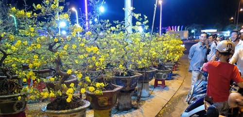 Dưa hấu khắc chữ thư pháp bán ngập đường phố Cà Mau ảnh 2