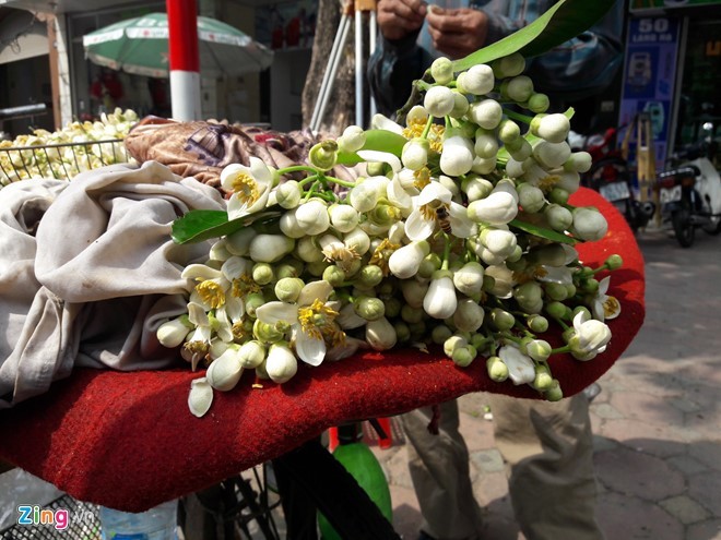 Kiếm tiền bằng việc mang hoa bưởi ra phố ảnh 1