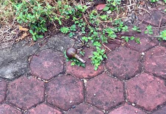 Vết trượt của nữ sinh sư phạm theo tình nhân buôn ma túy ảnh 1