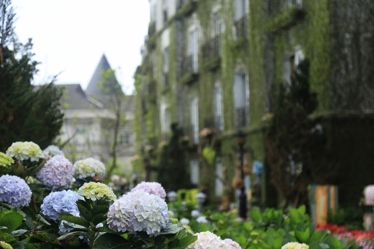 Đầu bếp Bà Nà Hills 'trổ tài' với 12 đầu bếp quốc tế ảnh 7