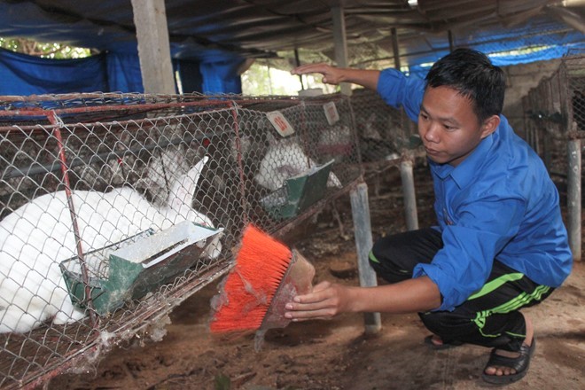 Cử nhân văn thành triệu phú nhờ nuôi thỏ ảnh 1