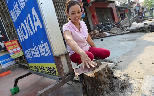 Bí thư Hà Nội: Nhiều quận, huyện làm hơi quá khi dọn dẹp vỉa hè ảnh 1