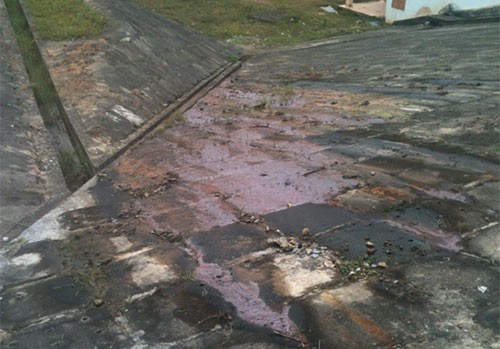 Hai thành phố sẽ bị 'nhấn chìm' nếu vỡ đập hồ Núi Cốc ảnh 1