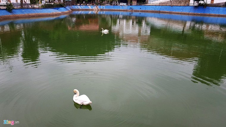 Cận cảnh biệt phủ của gia đình giám đốc sở ở Yên Bái ảnh 4