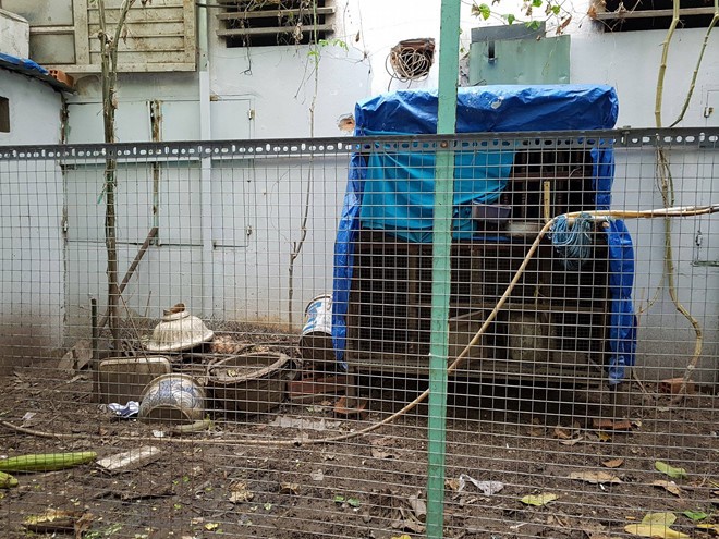 Chủ tịch phường nhận sai vụ cán bộ bẻ khóa vào nhà dân bắt gà Đông Tảo ảnh 1